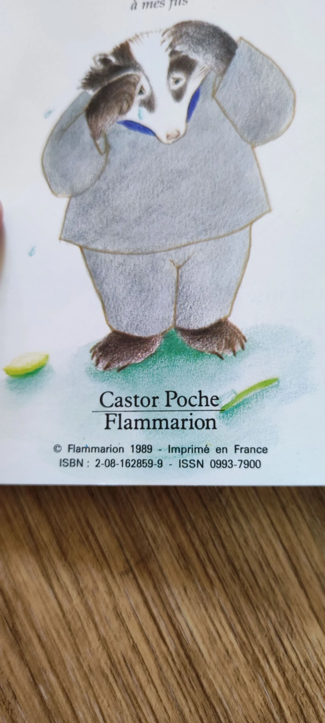 📚 Lote de 2 libros de literatura clásica para niños – photo 11